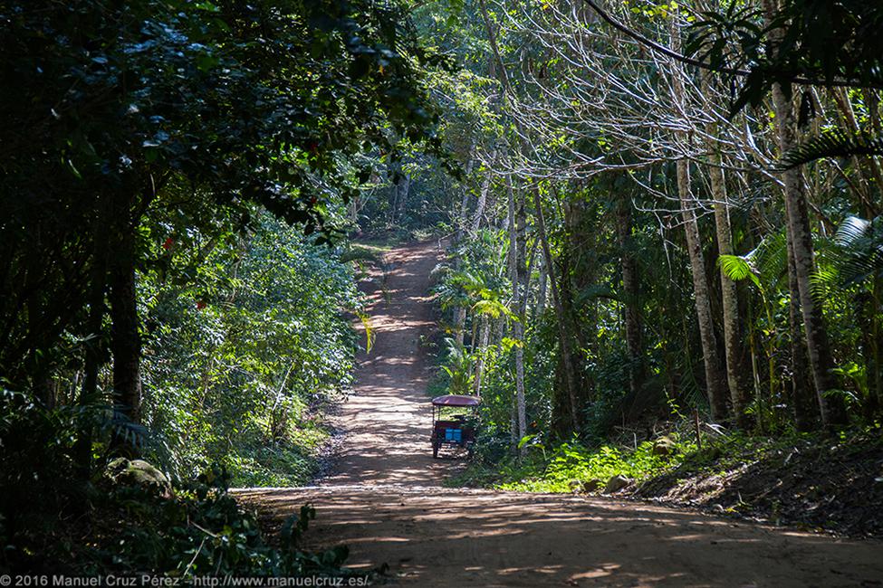 Camino paralelo al río Shilcayo, Tarapoto.